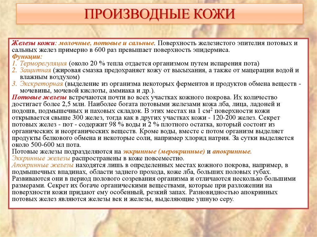 ПРОИЗВОДНЫЕ КОЖИ