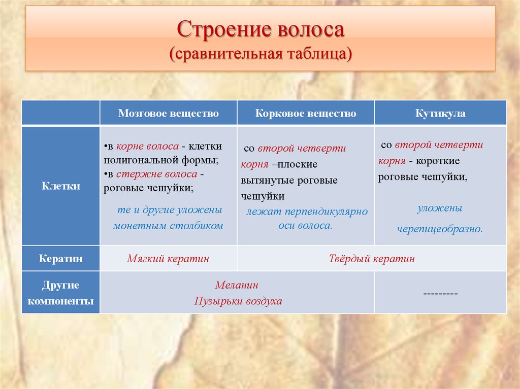Строение волоса (сравнительная таблица)