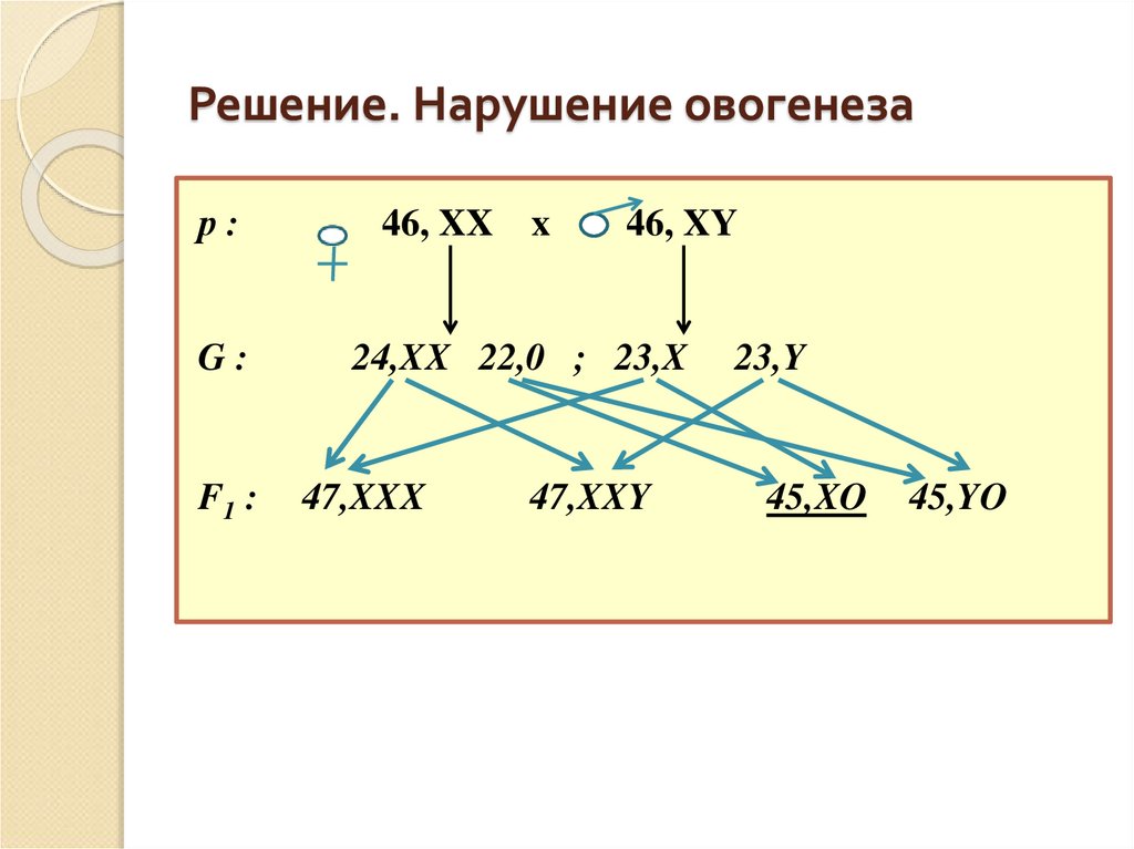 Решение. Нарушение овогенеза