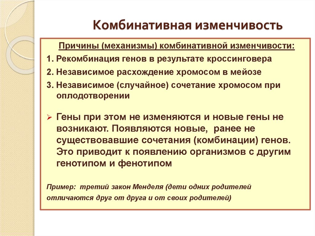 Комбинативная изменчивость