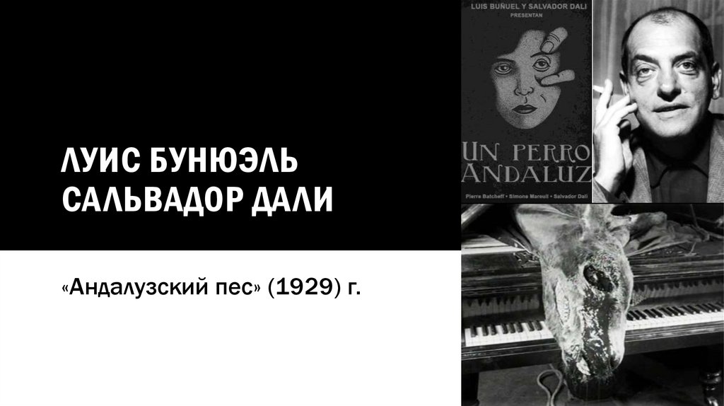 Луис Бунюэль Сальвадор дали