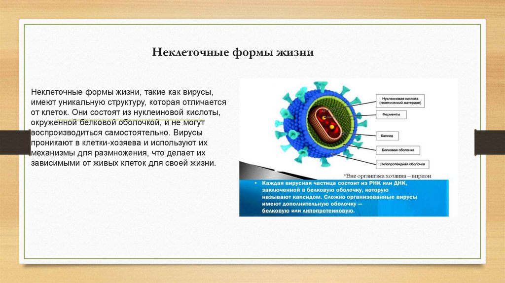 Неклеточные формы жизни