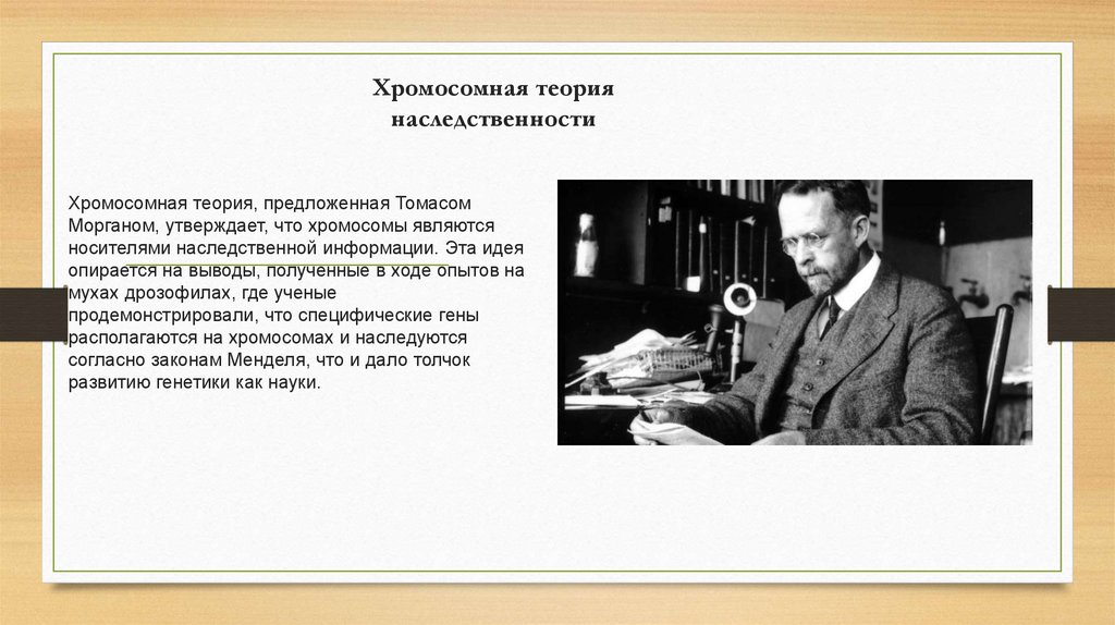 Хромосомная теория наследственности