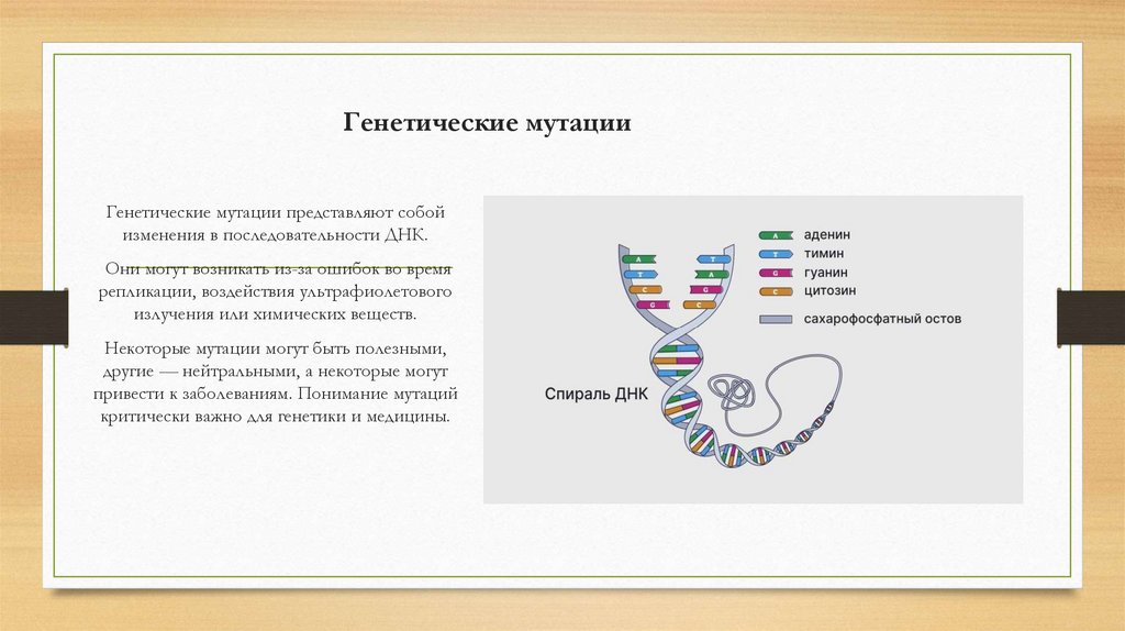 Генетические мутации