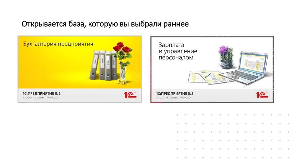 Открывается база, которую вы выбрали раннее