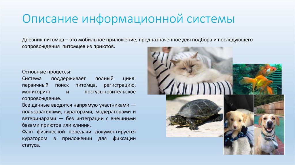 Описание информационной системы