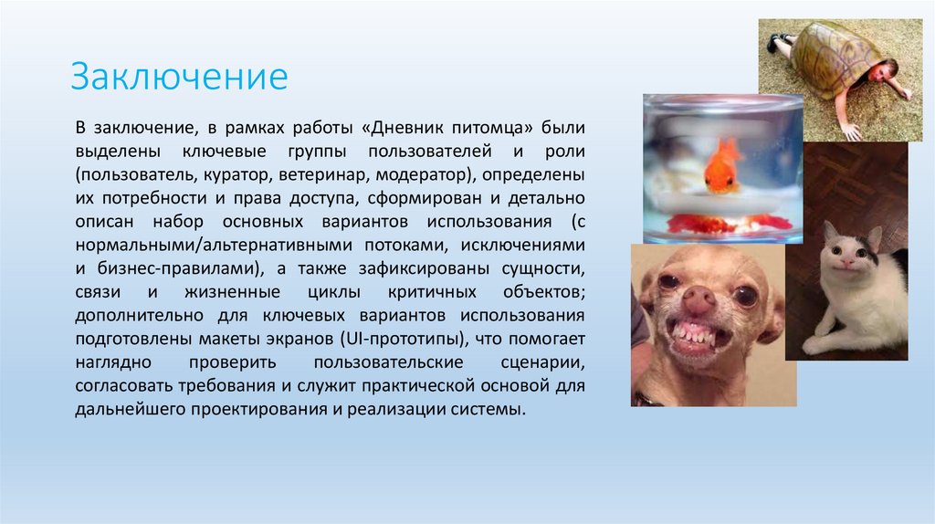 Заключение