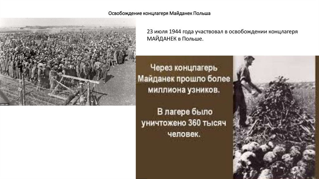 Освобождение концлагеря Майданек Польша