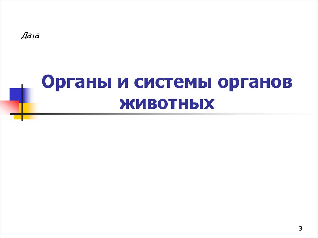 Органы и системы органов животных