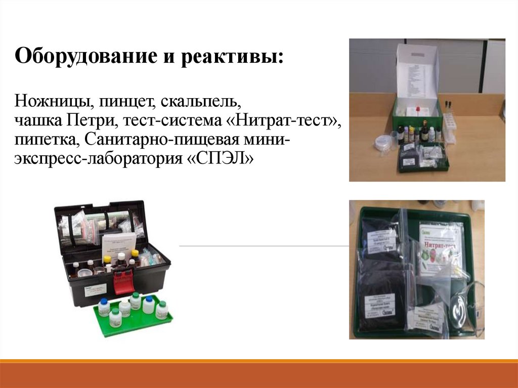 Оборудование и реактивы: Ножницы, пинцет, скальпель, чашка Петри, тест-система «Нитрат-тест», пипетка, Санитарно-пищевая