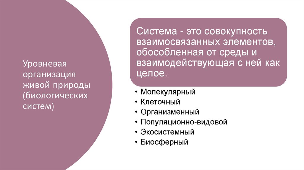 Уровневая организация живой природы (биологических систем)