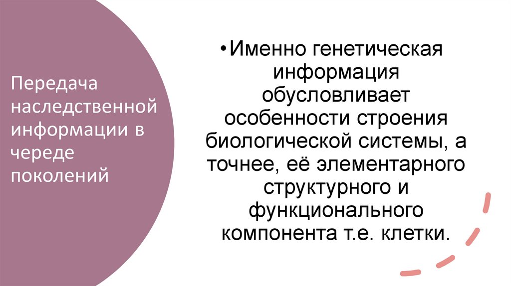 Передача наследственной информации в череде поколений
