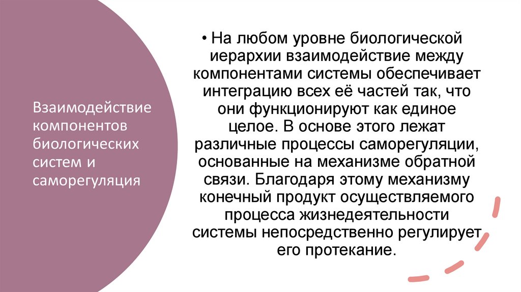 Взаимодействие компонентов биологических систем и саморегуляция