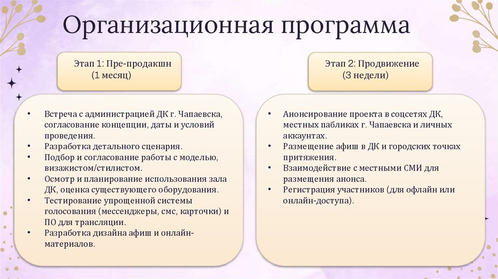 Организационная программа