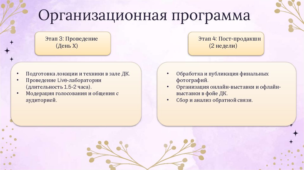 Организационная программа