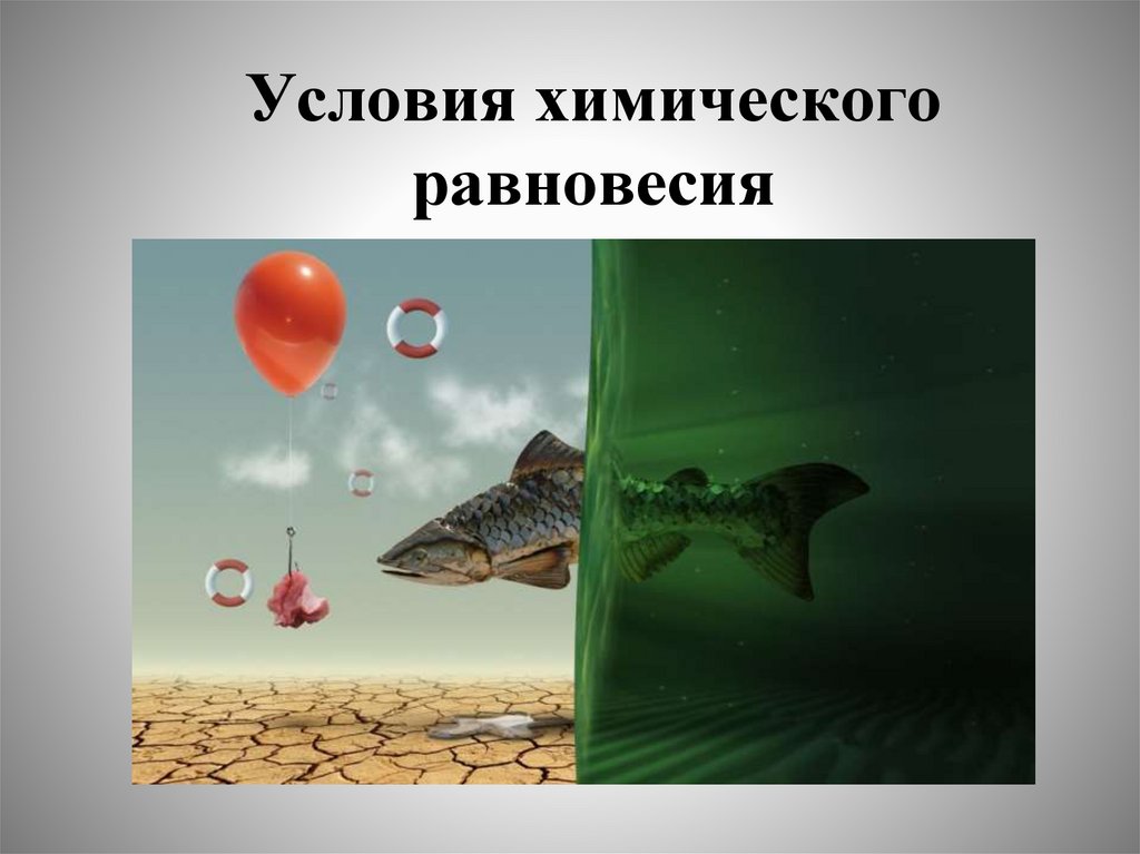 Условия химического равновесия