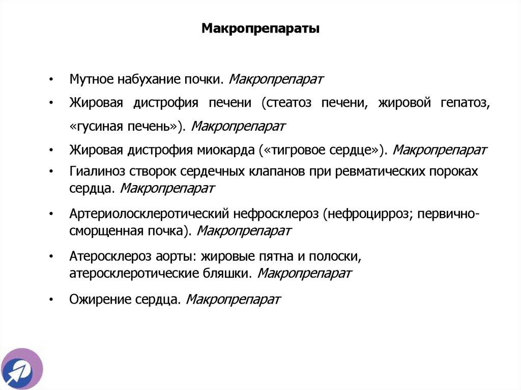Макропрепараты