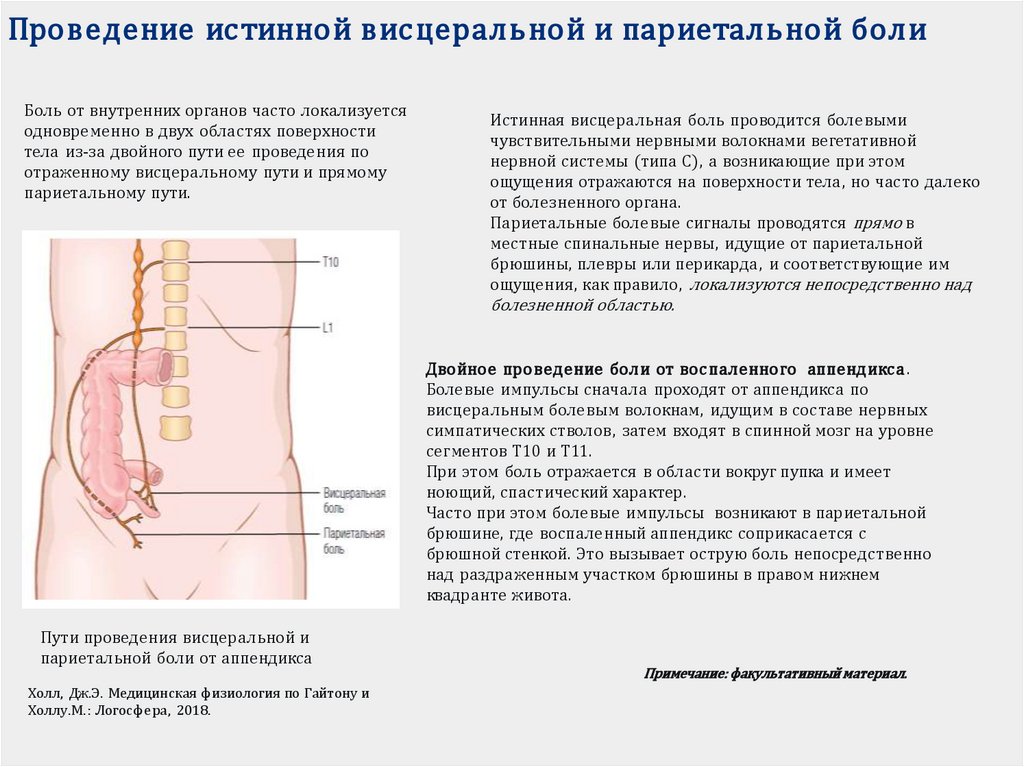Проведение истинной висцеральной и париетальной боли