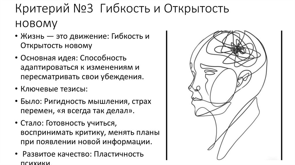 Критерий №3 Гибкость и Открытость новому