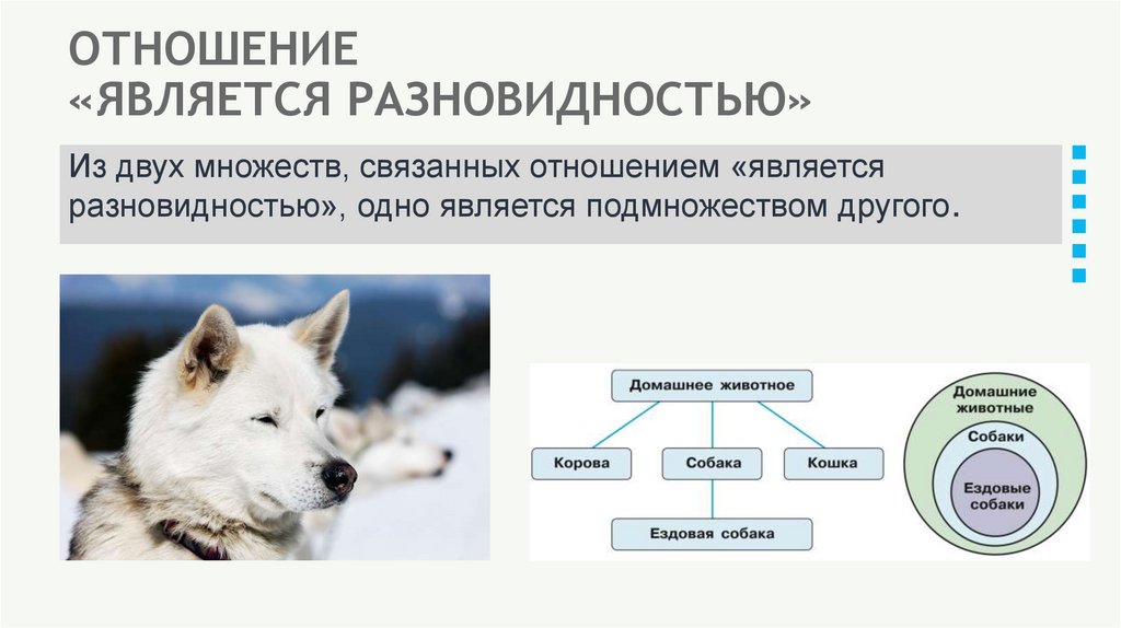 ОТНОШЕНИЕ «ЯВЛЯЕТСЯ РАЗНОВИДНОСТЬЮ»