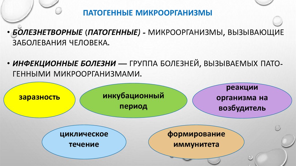 Патогенные микроорганизмы