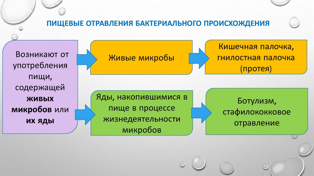 Пищевые отравления бактериального происхождения