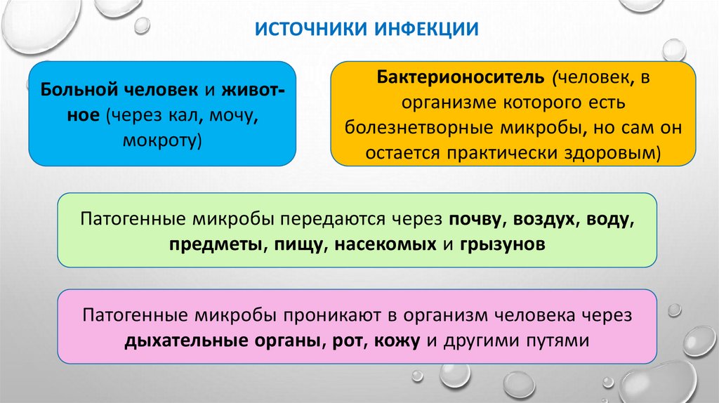 Источники инфекции