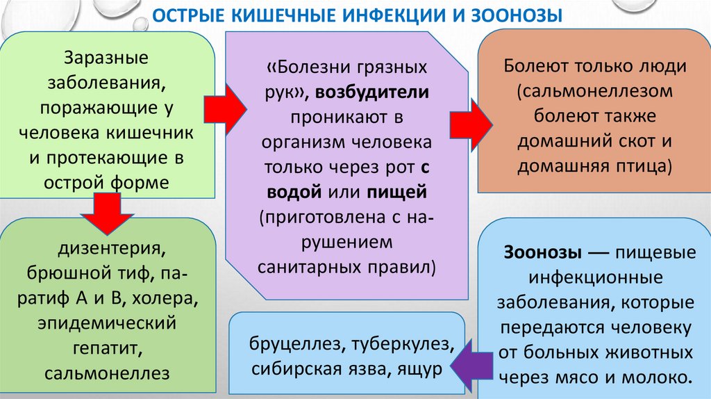 Острые кишечные инфекции и зоонозы