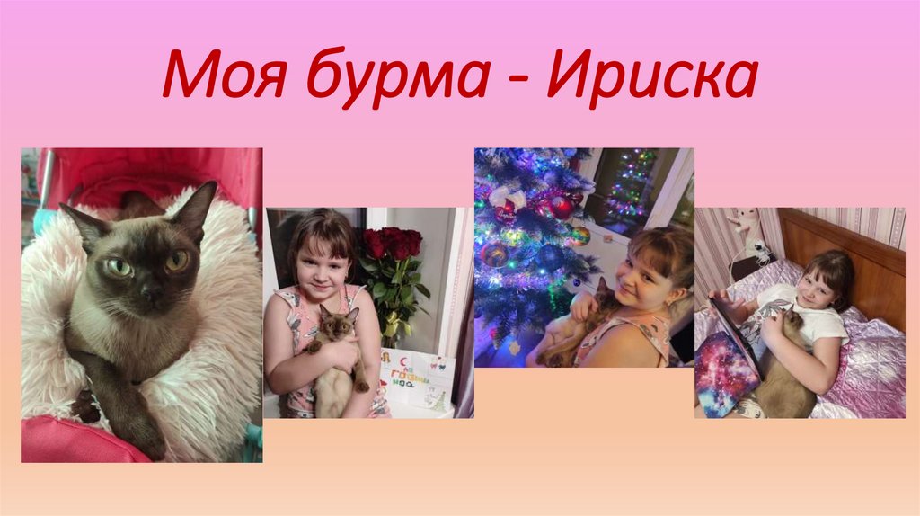 Моя бурма - Ириска