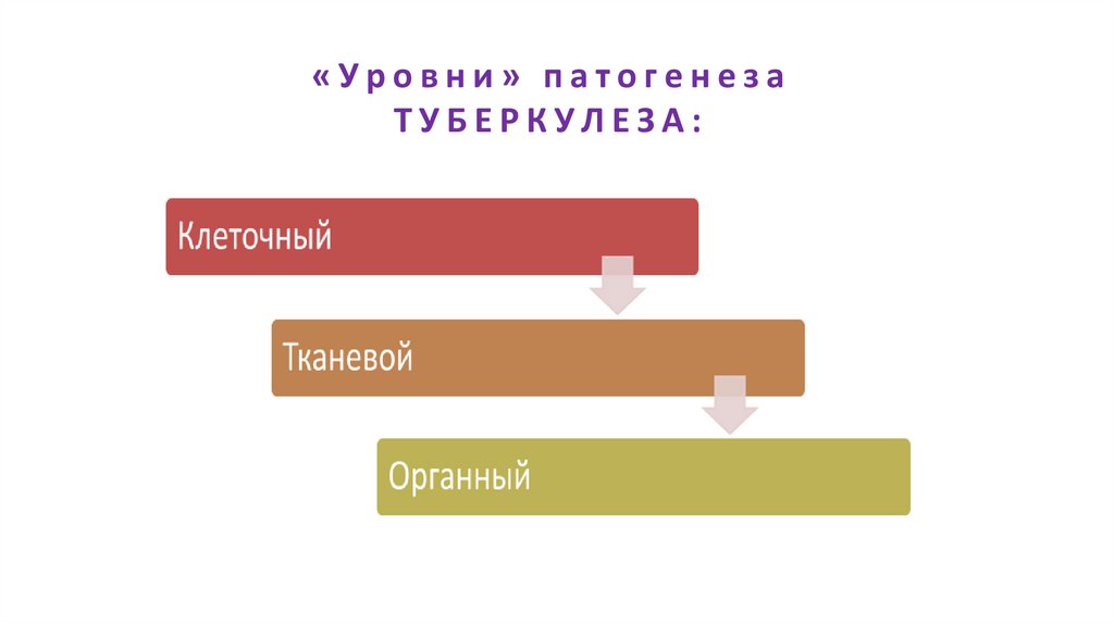 «Уровни» патогенеза ТУБЕРКУЛЕЗА: