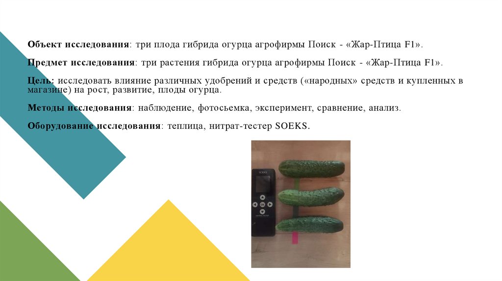 Объект исследования: три плода гибрида огурца агрофирмы Поиск - «Жар-Птица F1». Предмет исследования: три растения гибрида