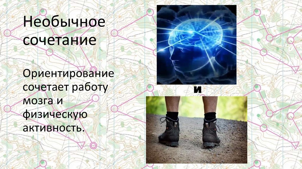 Необычное сочетание