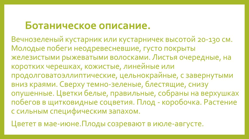 Ботаническое описание. 