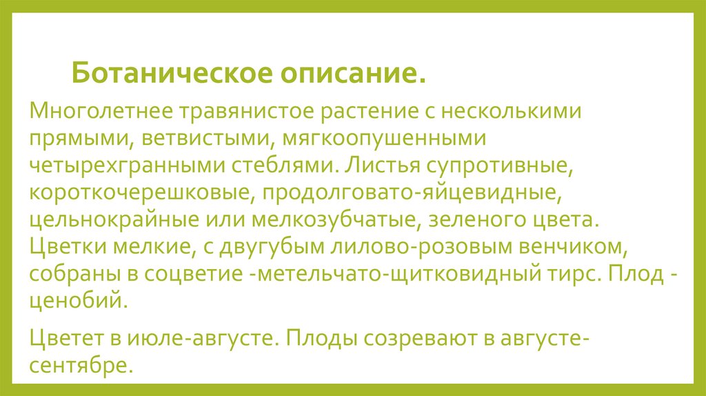 Ботаническое описание. 