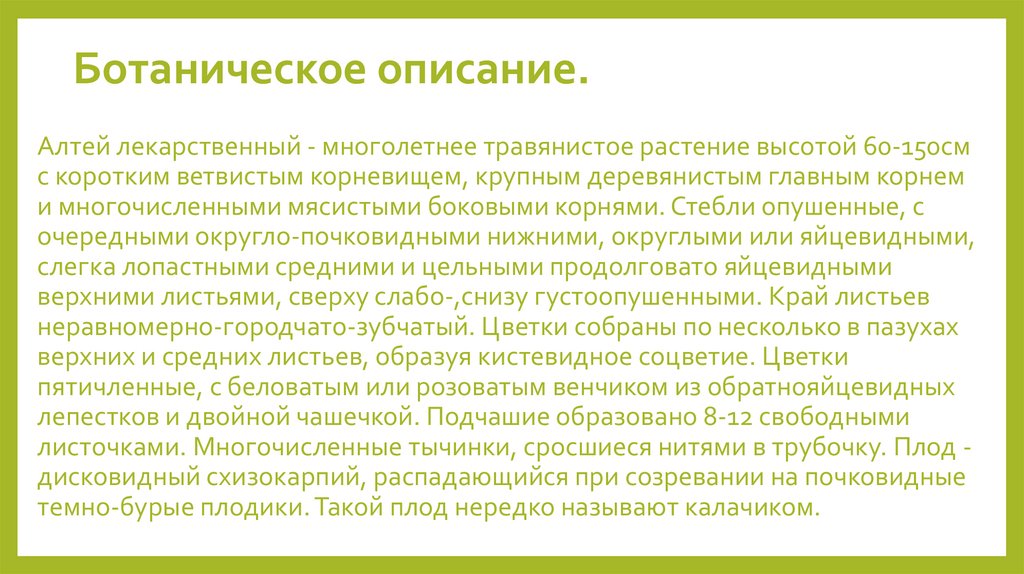 Ботаническое описание.