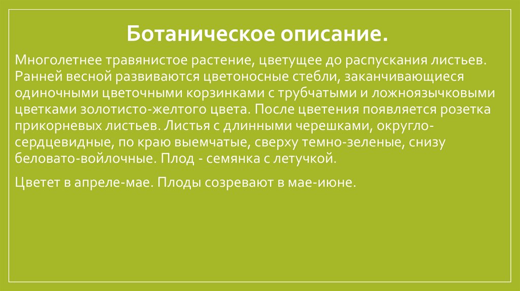 Ботаническое описание. 