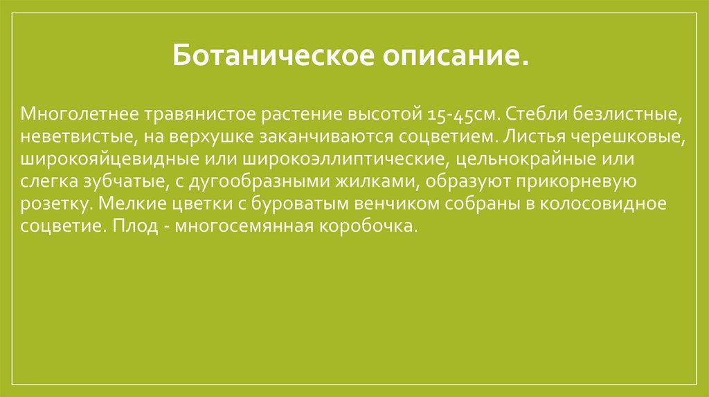 Ботаническое описание. 