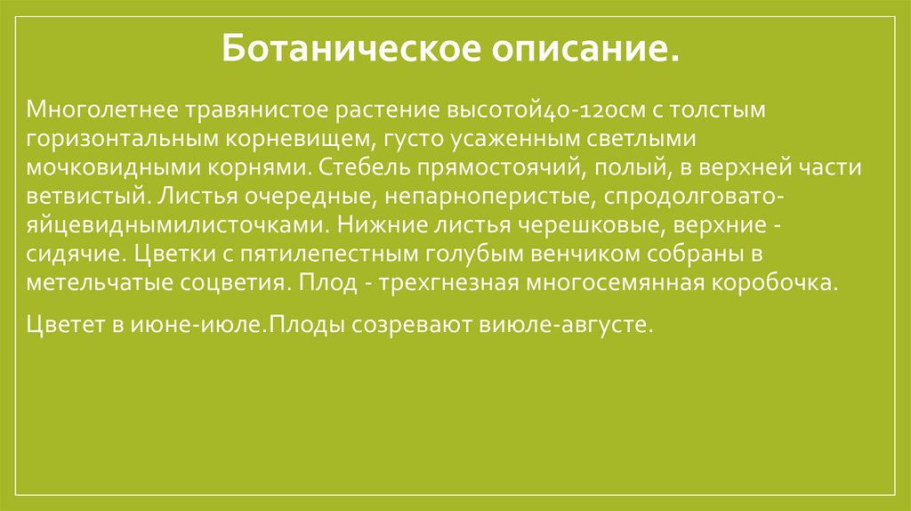 Ботаническое описание. 