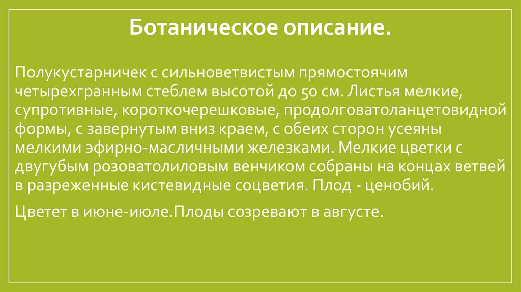 Ботаническое описание.