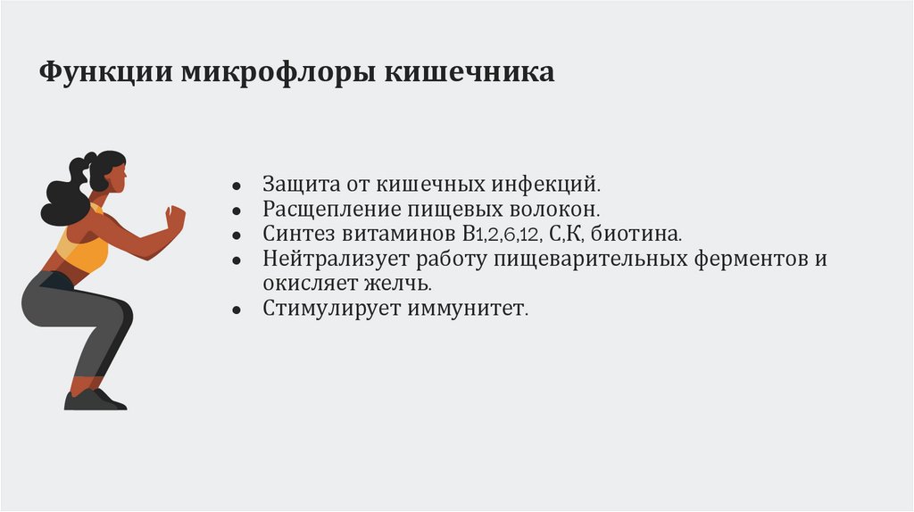 Функции микрофлоры кишечника