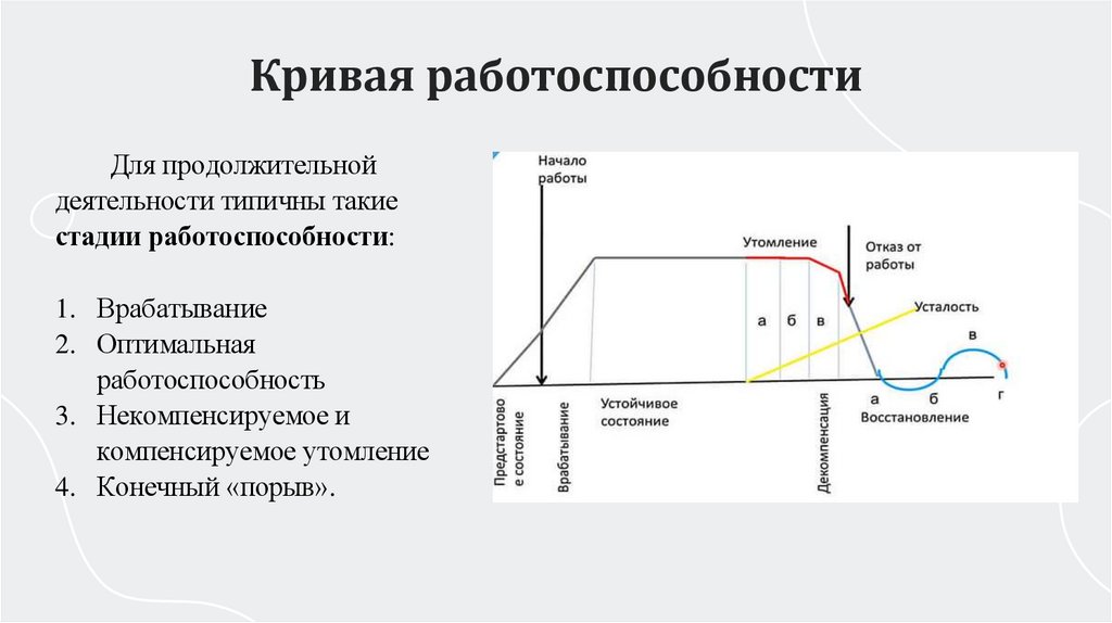 Кривая работоспособности