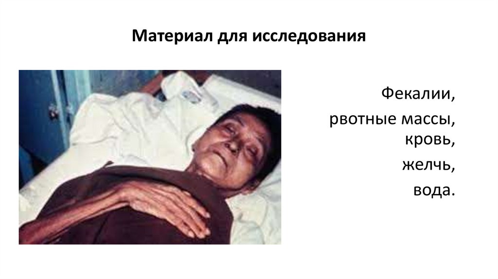 Материал для исследования