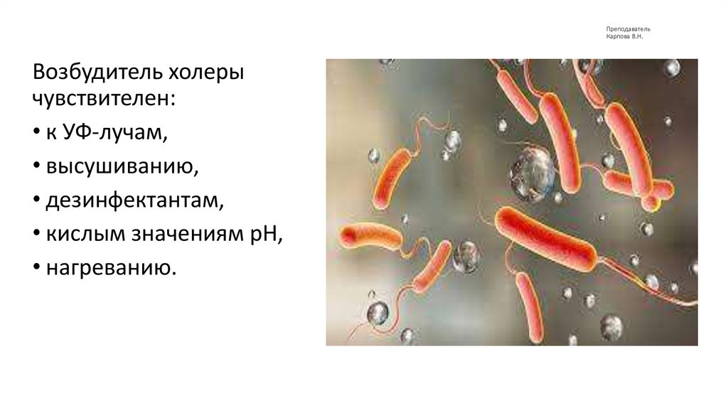 Преподаватель Карпова В.Н.