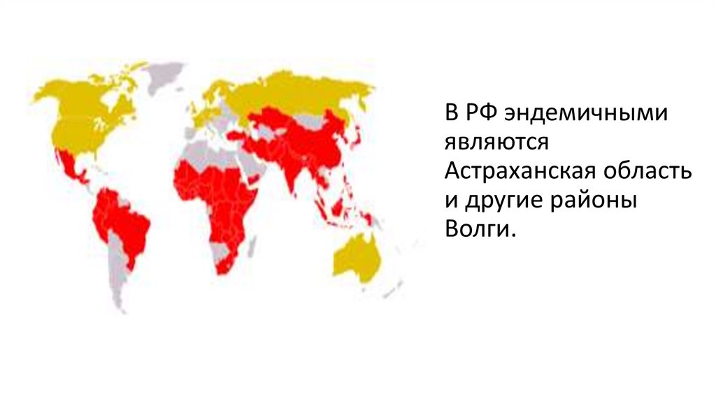 В РФ эндемичными являются Астраханская область и другие районы Волги.