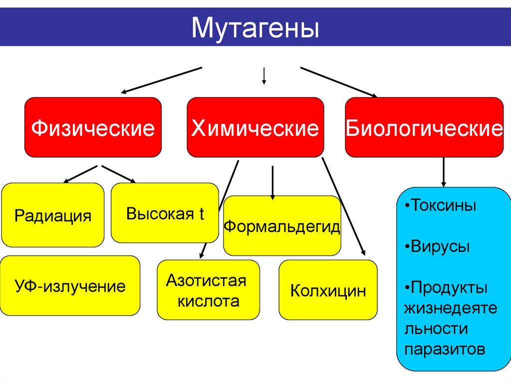 Мутагены