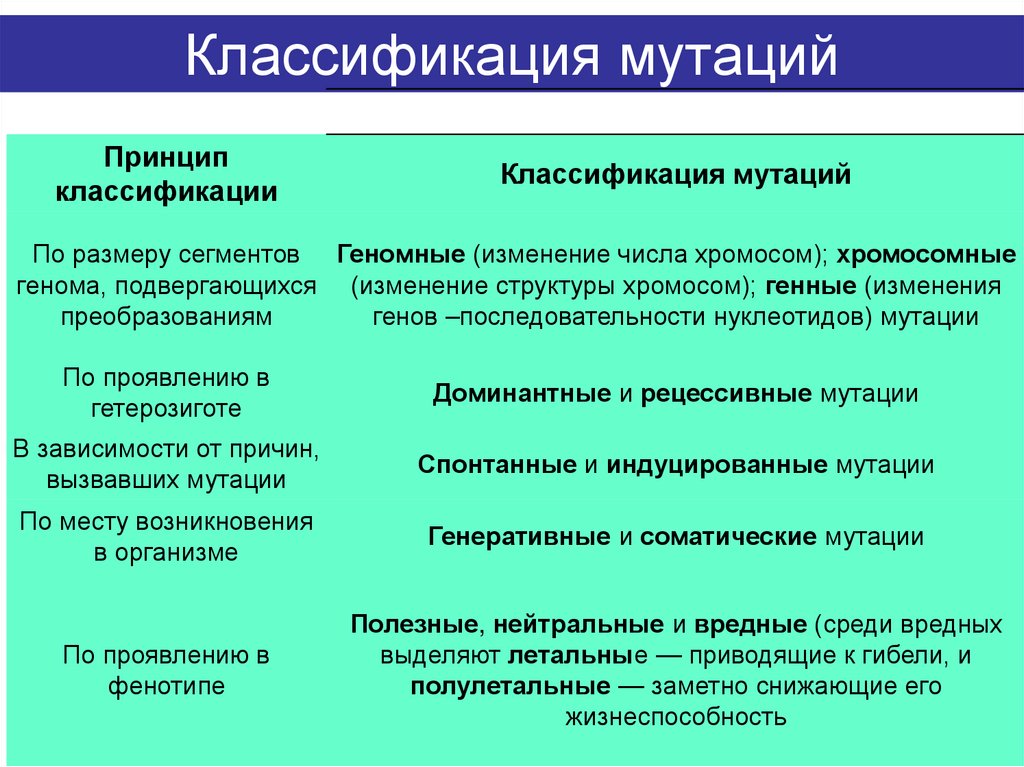 Классификация мутаций