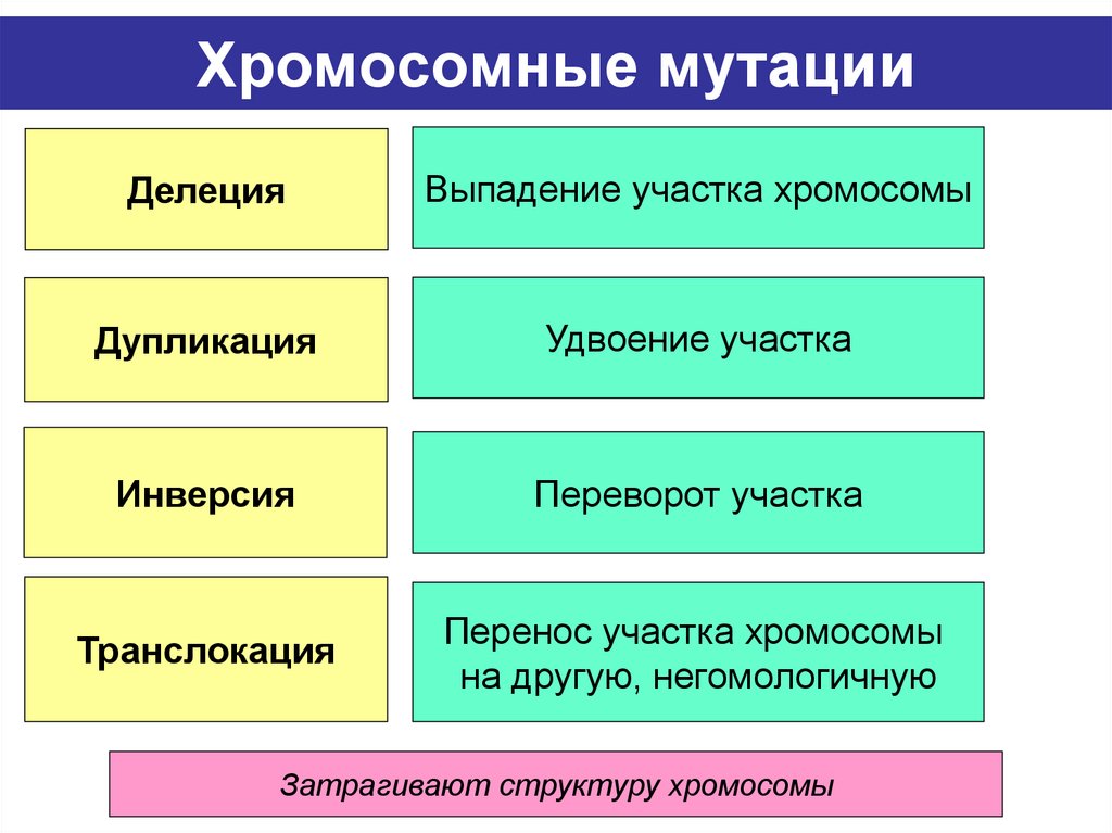 Хромосомные мутации
