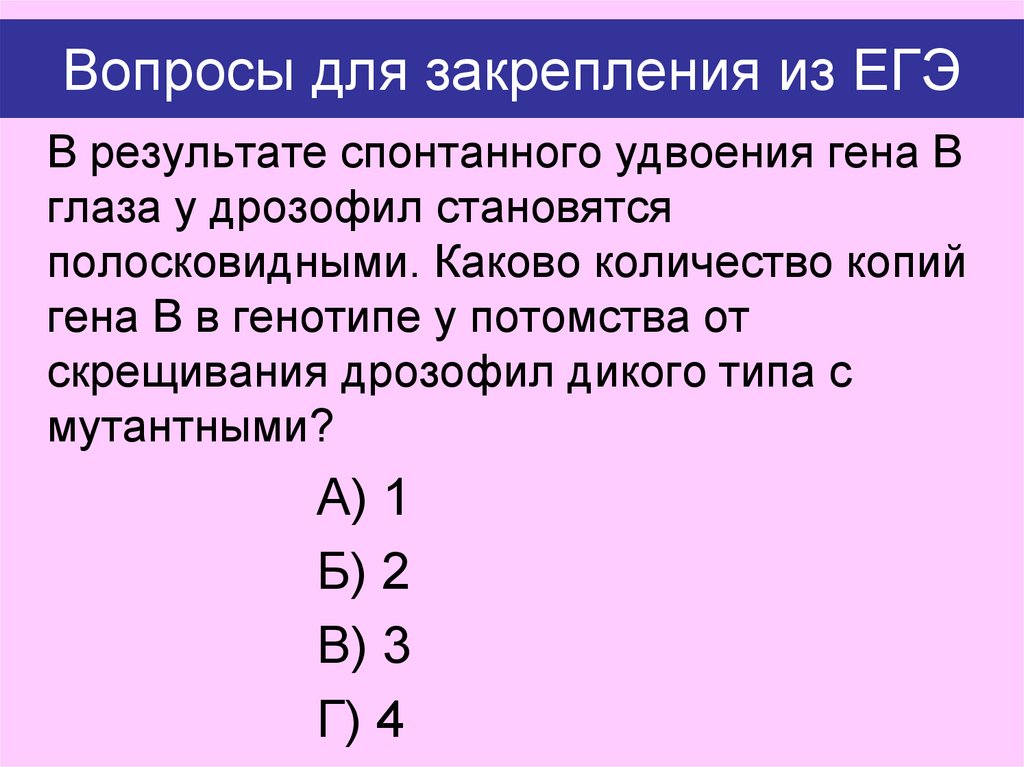 Вопросы для закрепления из ЕГЭ