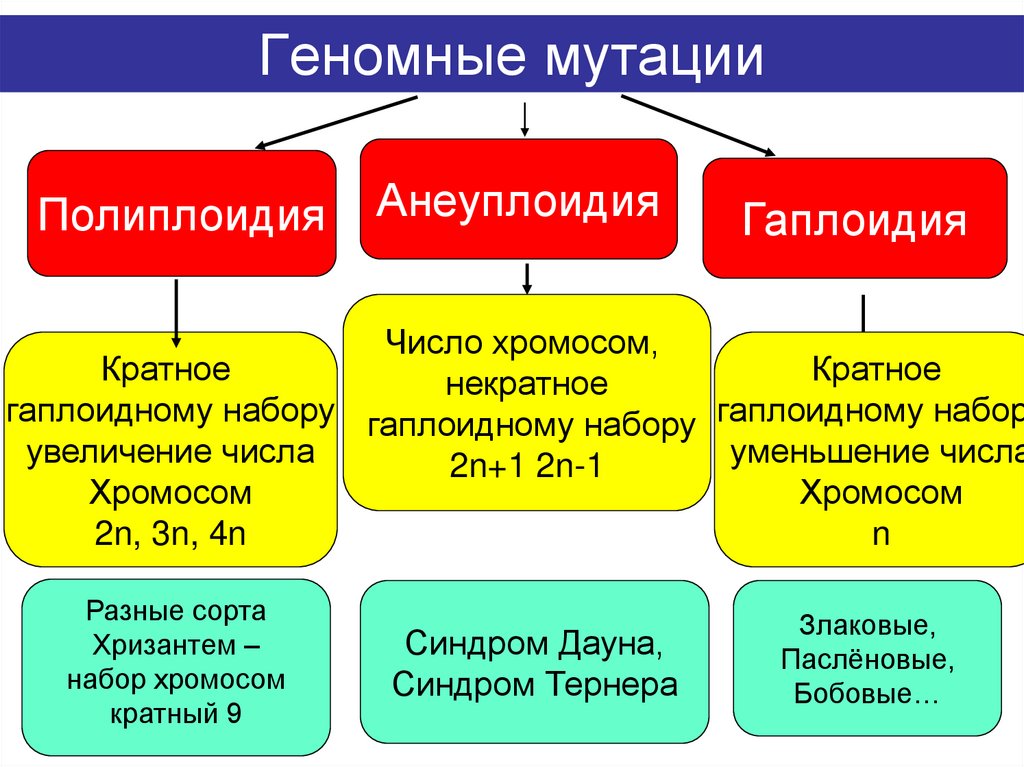 Геномные мутации