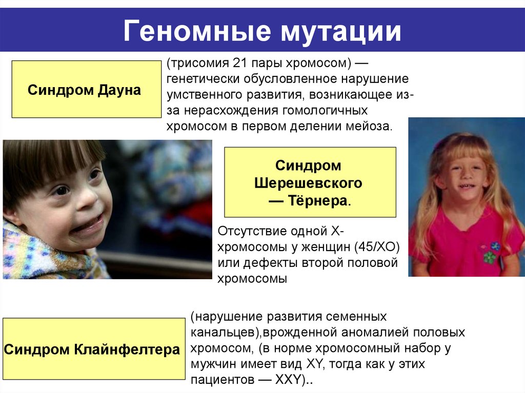 Геномные мутации